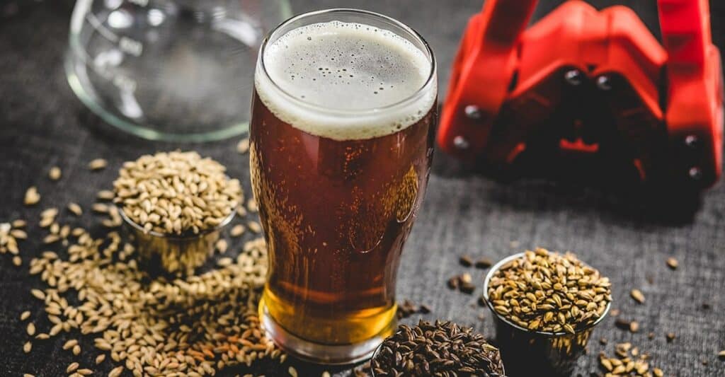 Best Homebrewing Equipment You Need to Know Of Beertannica