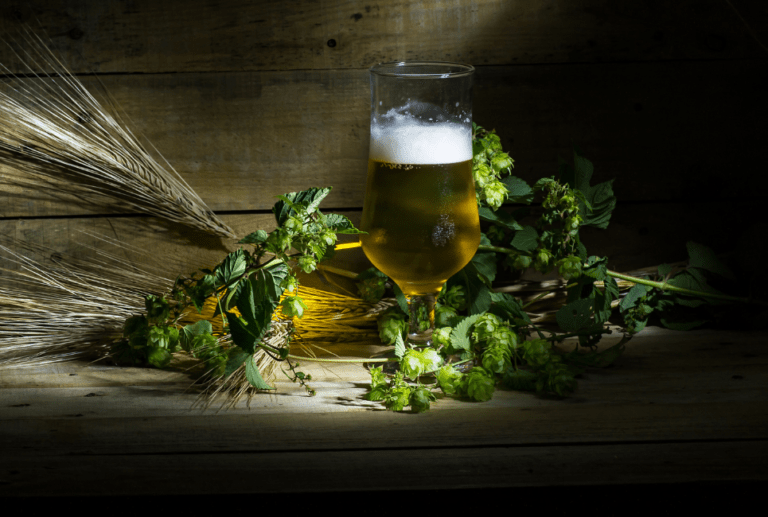 Mosaic Hops Guide How to Brew Beer with Mosaic Hops Beertannica