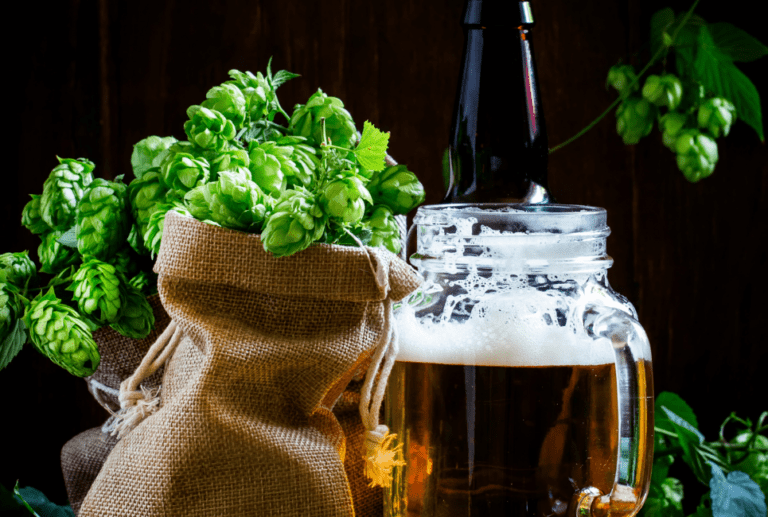 Sabro Hops Guide How to Brew Beer with Sabro Hops Beertannica