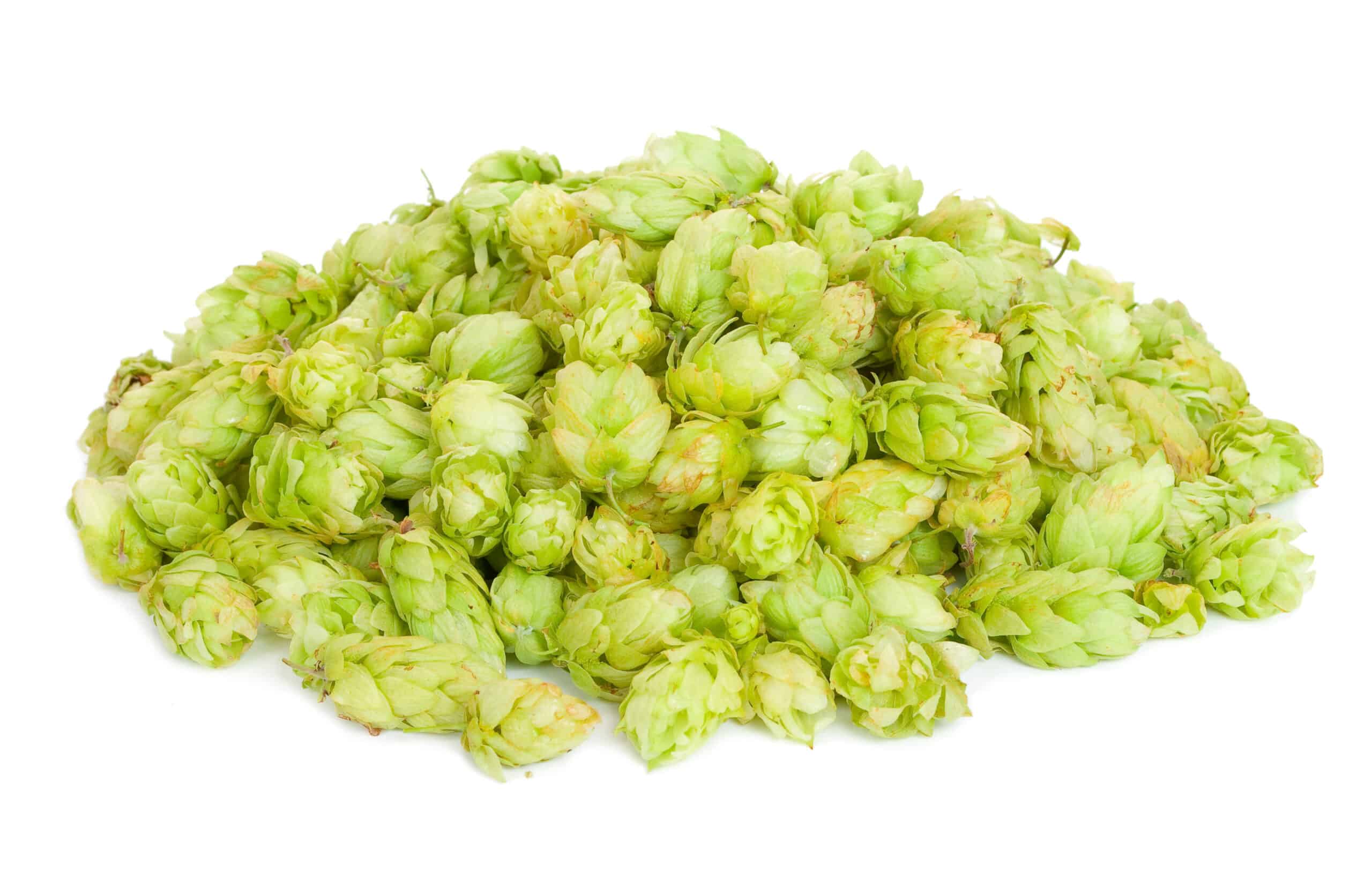 Amarillo Hops