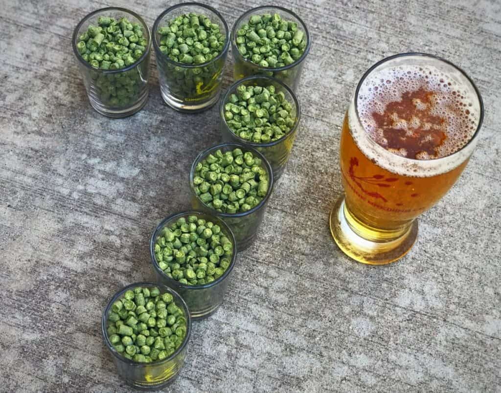 Idaho 7 Hops