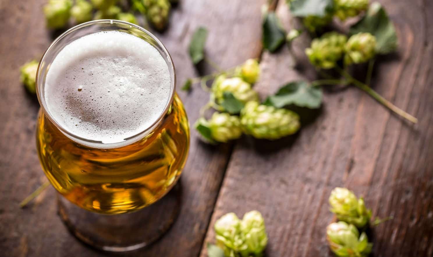 Loral Hops Guide How to Brew With Loral Hops Beertannica