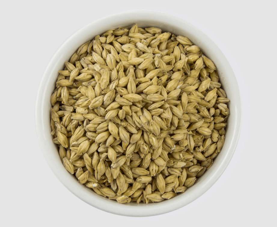 Pilsner Malts