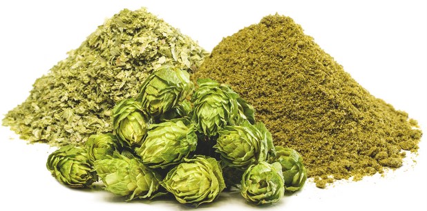 Cyro Hops