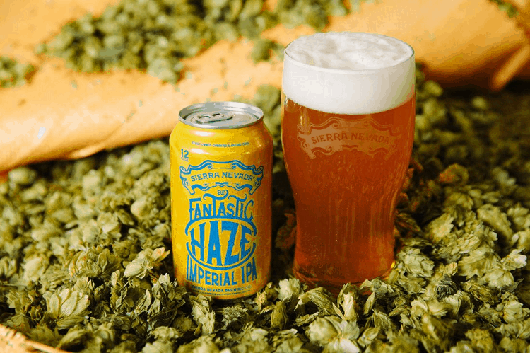 Hazy Little Thing IPA