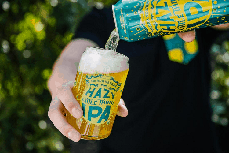 Hazy Little Thing IPA