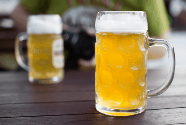 Goose Island Christmas IPA Review and Guide Beertannica