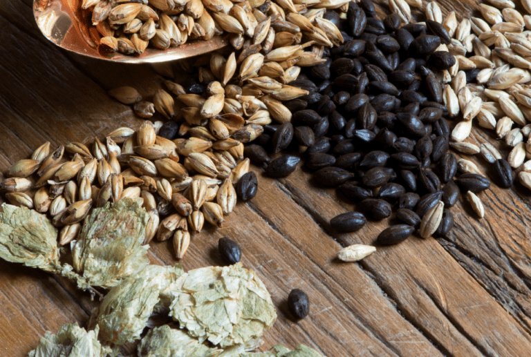 Types of Brewing Malts Guide Everything You Need to Know Beertannica
