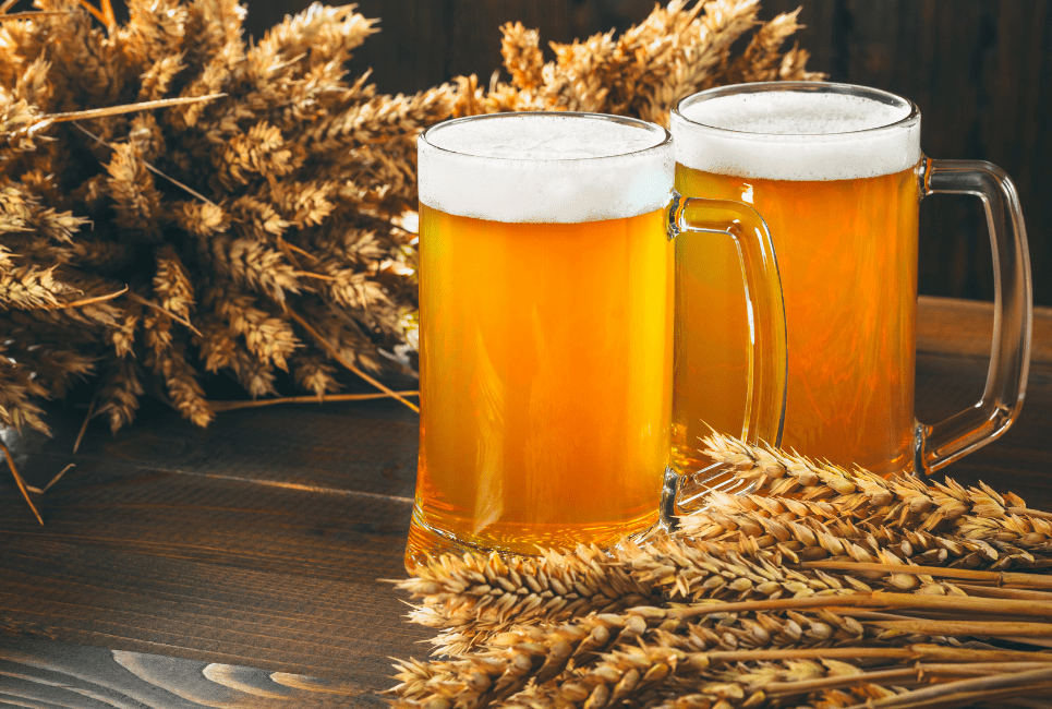 Types Of Brewing Malts Guide: Everything You Need To Know - Beertannica