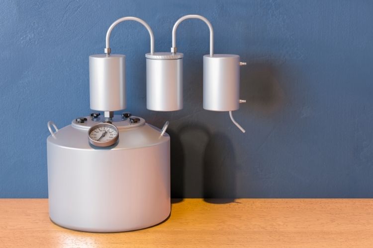 Best Thumper Keg Guide for Homebrewing Beertannica