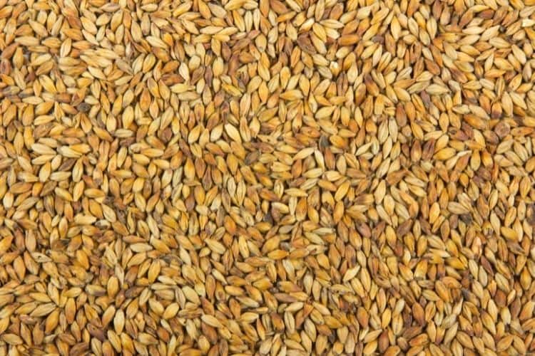 honey malt