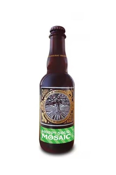 Almanac Hoppy Sour Mosaic | Drizly