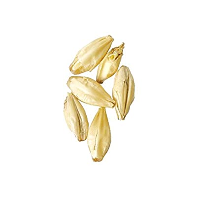Brewmaster Pilsner Malt | Amazon