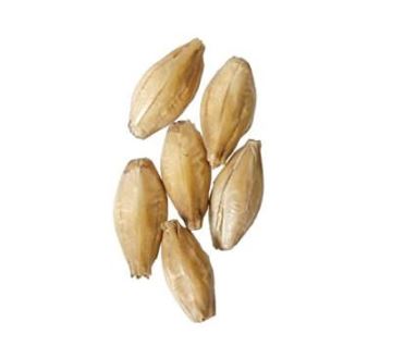 Fawcett Pearl Malt | Amazon