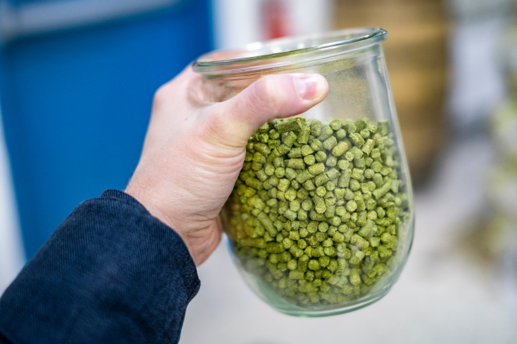 Hops Pellets