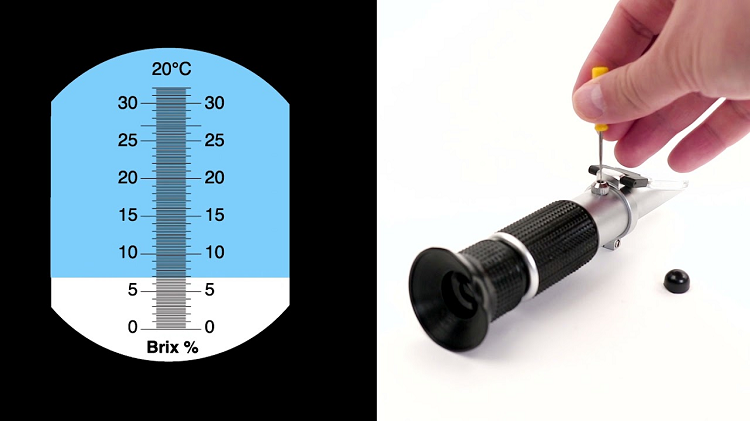 refractometer 