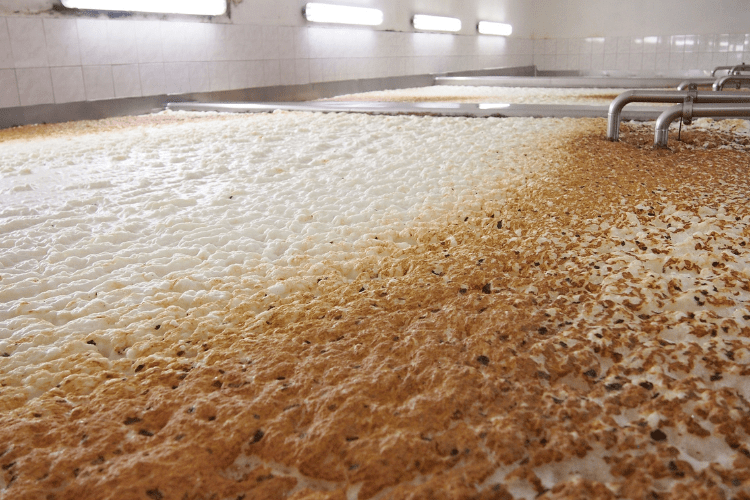 Fix Issues with the Fermentation Process