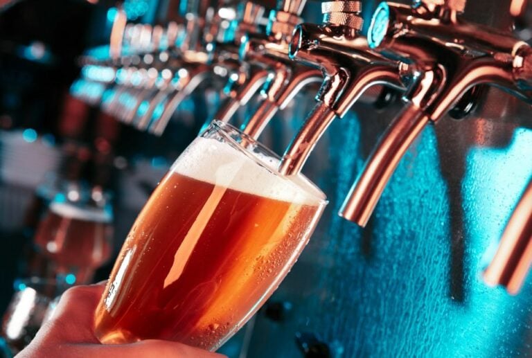 Best Kegerator Cleaning Kits Beertannica