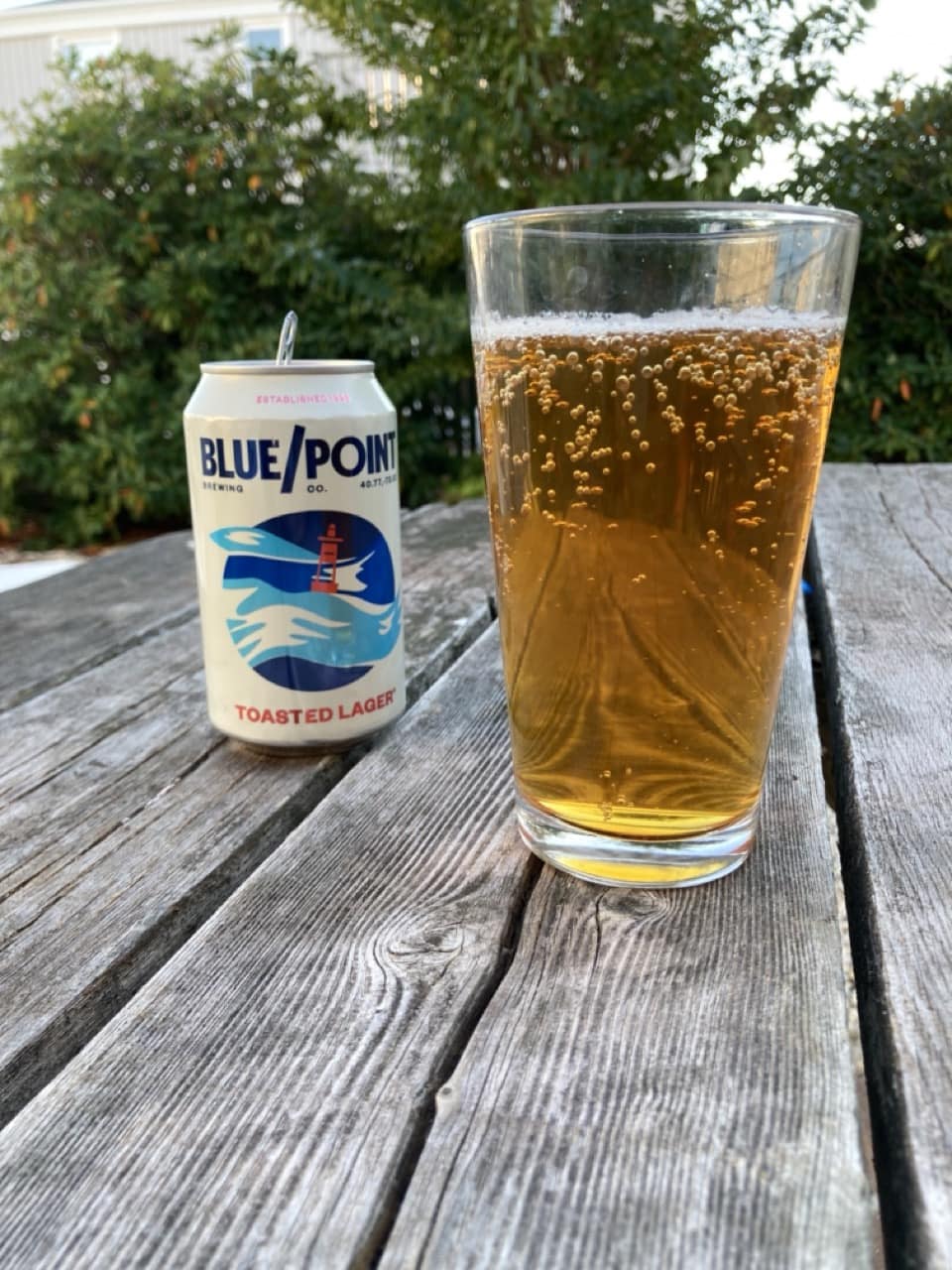 Blue Point Toasted Lager Review