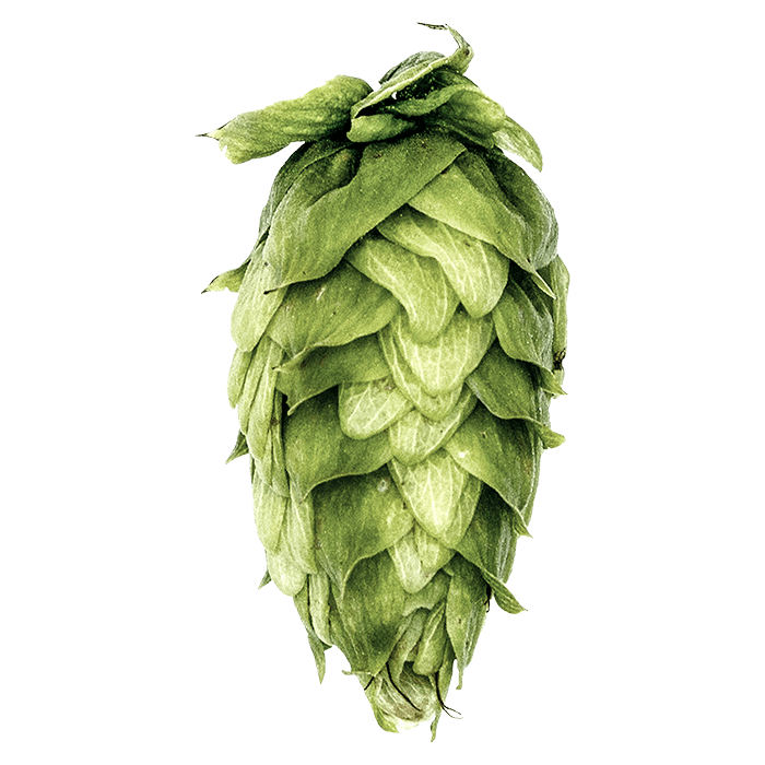 chelan hops