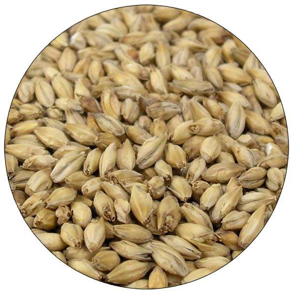 aromatic malt